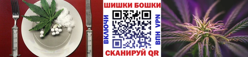 Купить  Гаврилов-Ям  Canna-Cookies конопля 