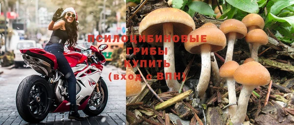 ГАЛЛЮЦИНОГЕННЫЕ ГРИБЫ Красноперекопск