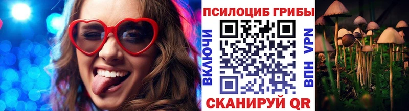 Купить  Гаврилов-Ям  Псилоцибиновые грибы Psilocybe 